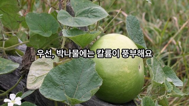 박나물의 건강 효능 | 붓기 제거부터 골다공증 예방까지! смотреть онлайн