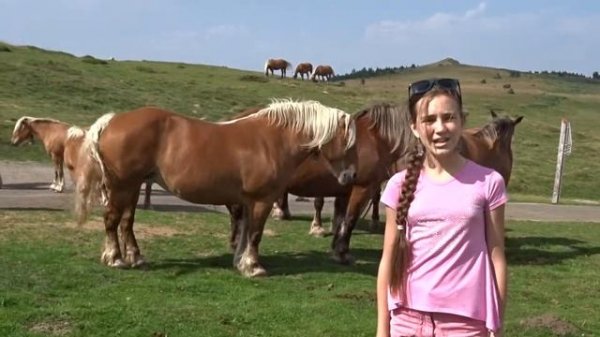 Vlog. Easy Breezy. Лошади во Франции