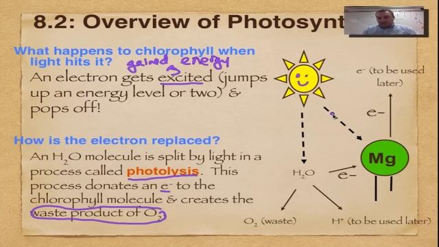 Chapter 8 Part 4 - Chlorophyll and Photolysis смотреть онлайн