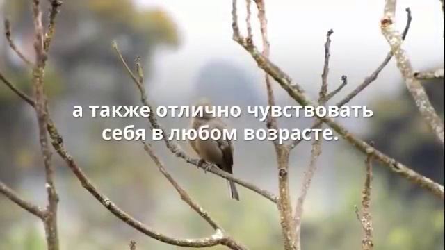 Как сохранить здоровье и сэкономить на этом смотреть онлайн