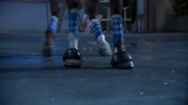 лошадь арни 3 / небоскреб / прыжок на лошади смотреть онлайн