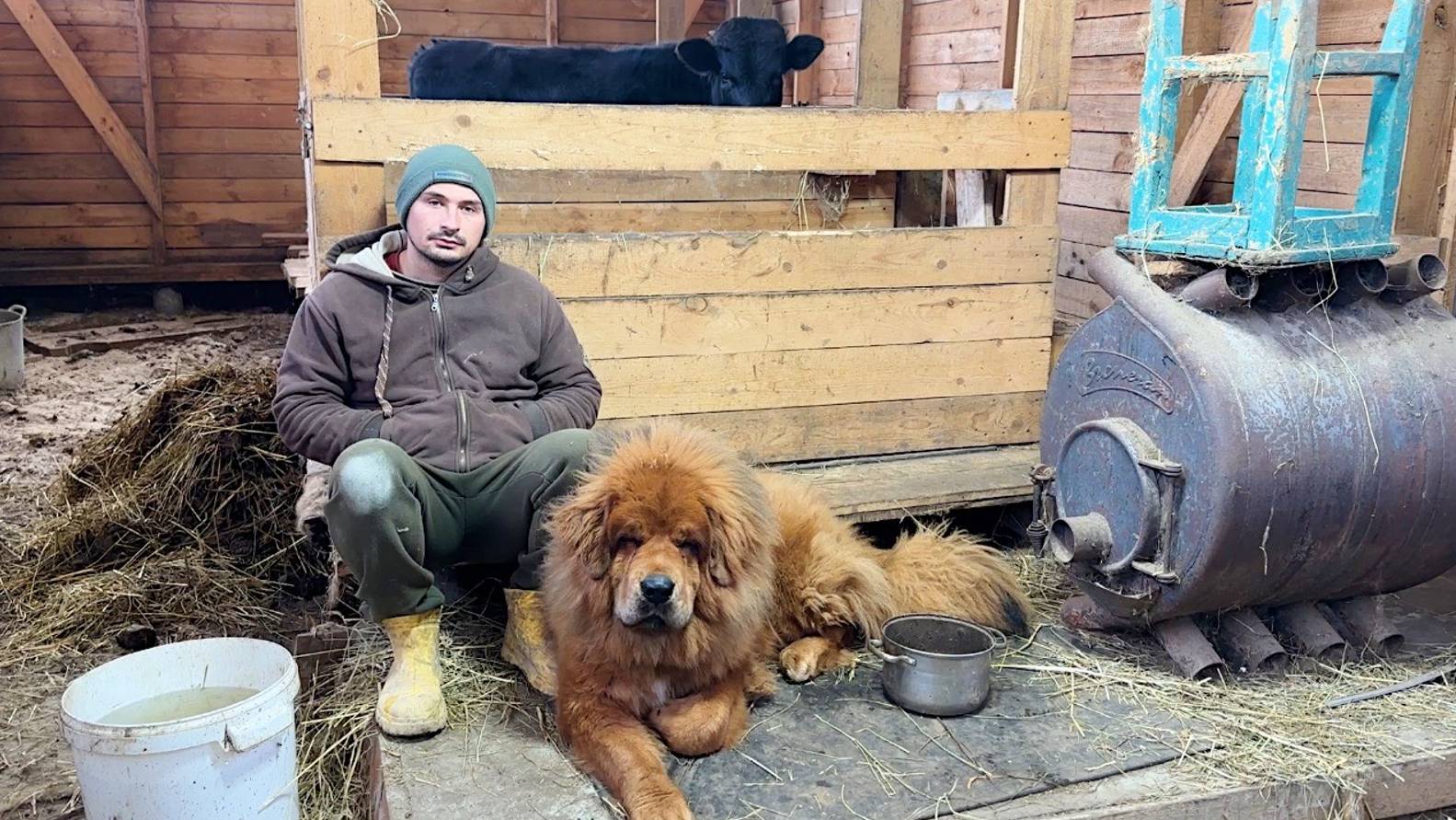 Готовимся к празднику. Подготавливаем стены к шпаклевке. Ремонт продолжается. Жизнь простых людей. смотреть онлайн
