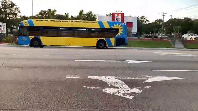 Coast RTA Buses In Myrtle Beach, South Carolina смотреть онлайн