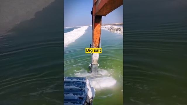 Dig Salt смотреть онлайн