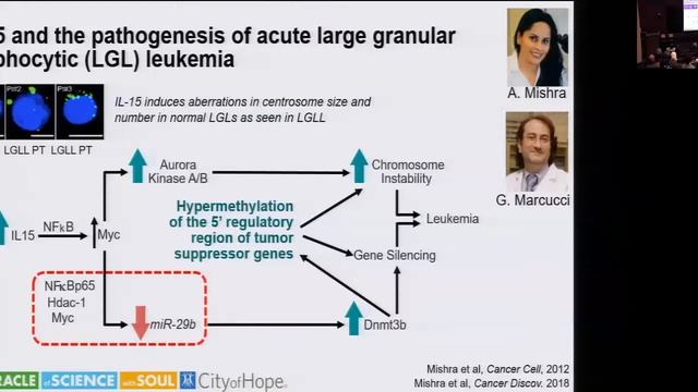 Human Natural Killer Cells: From Bench to Clinic смотреть онлайн