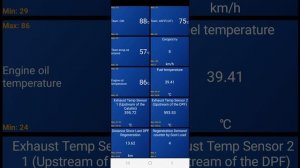 Hyundai Grand SantaFe 2.2 crdi D4HB прожиг сажевого фильтра в движении