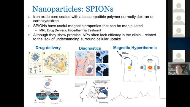 Risk 2018 | Lecture 11 | How safe are nanomaterials? | Dr Iseult Lynch (University of Birmingham) смотреть онлайн