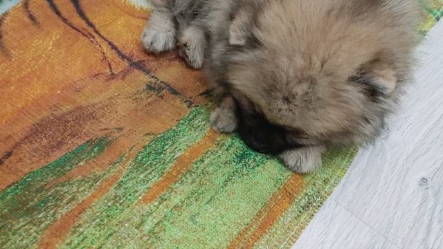 Моя малышка 🥰 смотреть онлайн