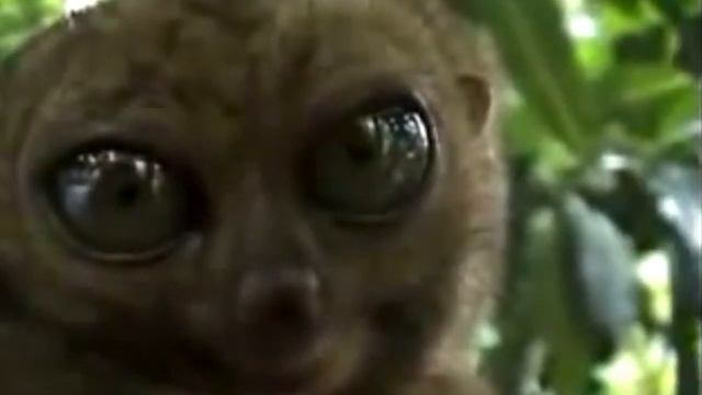 «Обещаю обещать» - Нургали Байтемиров смотреть онлайн