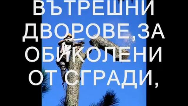Рязане на опасни дървета смотреть онлайн