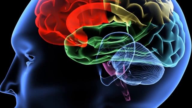 BioBalance Liposomal presentation with Dr Kenneth Proefrock смотреть онлайн