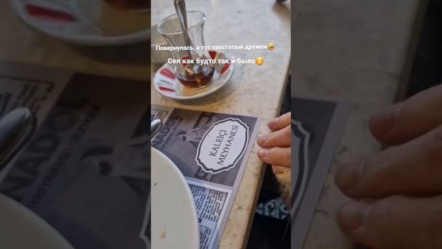 Наглость второе счастье🙈#Анталья #Турция смотреть онлайн