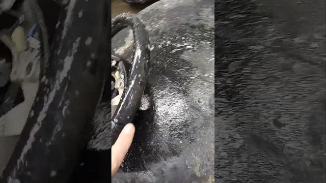 Руль после 200 тыщ пробега #shorts #automobile #car #детейлинг смотреть онлайн