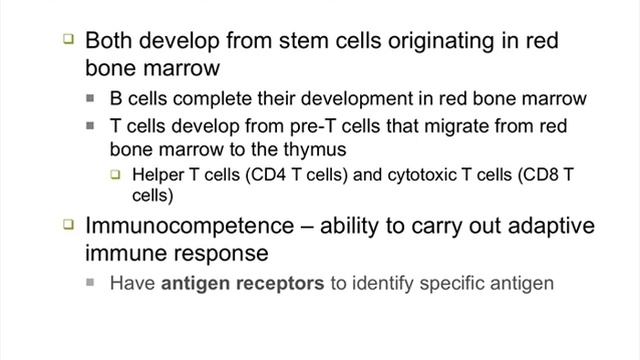 22 14 Maturation of B & T cells смотреть онлайн