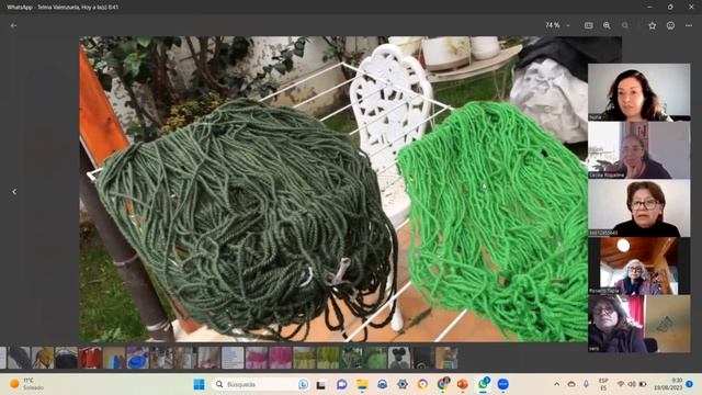 Taller de teñido de lanas con anilinas 2024 смотреть онлайн