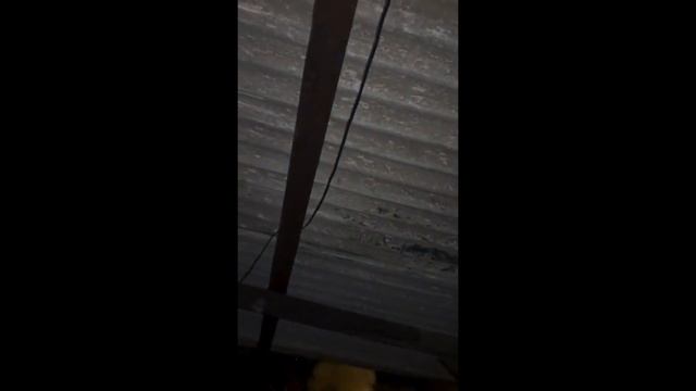 Ха-ха-тулька №12 | САМЫЕ СМЕШНЫЕ ВИДЕО СО ВСЕГО ИНТЕРНЕТА #смех #юмор #рофлы смотреть онлайн