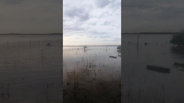 Хабаровске Уровень АМУРА на спаде по русски смотреть онлайн