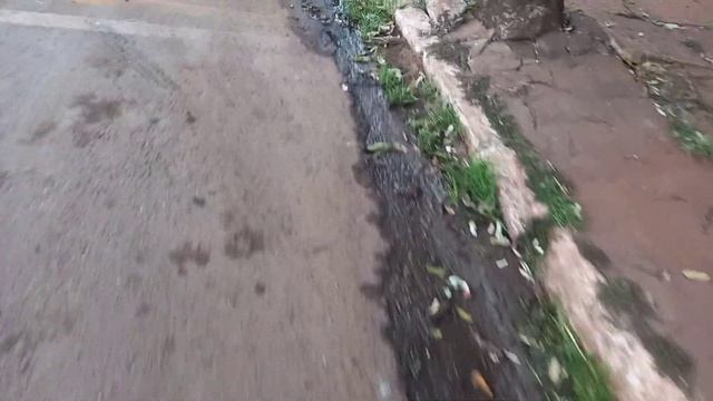 Acompanhamento em tempo real da limpeza não realizada na Rua Jerônimo Silva pela prefeitura dia 5 смотреть онлайн