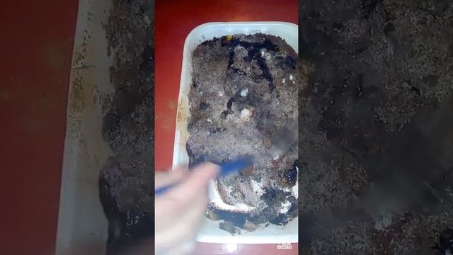 How To Remove Cellulite With 5 Ingredients From The Kitchen // Without Diet And Without Exercise // смотреть онлайн