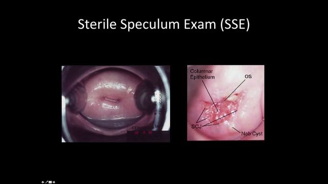 Osteopathic Pelvic Exam