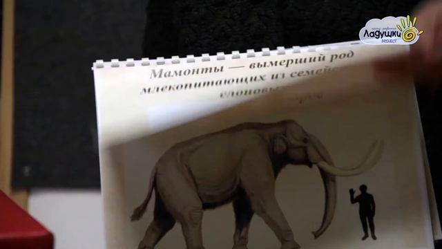 Князев Александр. Ц.Р."ЛадушкиProjеct" смотреть онлайн