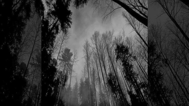 Moneycantbuyher смотреть онлайн