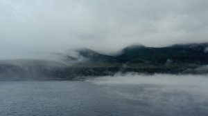 Охота на хитрую рыбу
