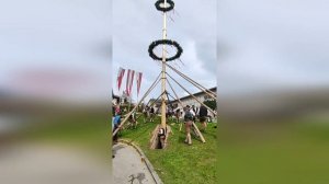 Установка "майского дерева" в деревне Хоф-бай-Зальцбург, Австрия, 2023