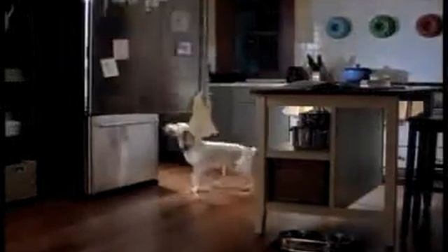 "Purina One" :15 смотреть онлайн