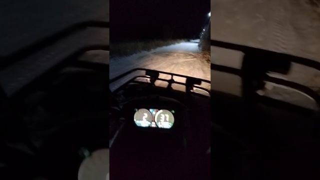 12 ноября 2024 г.