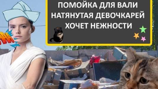 STAR WARS - ПОМОЙКА ДЛЯ ВАЛИ , НАТЯНУТАЯ ДЕВОЧКА , РЕЙ ХОЧЕТ НЕЖНОСТИ.