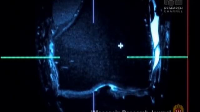 Wisconsin Research Journal смотреть онлайн