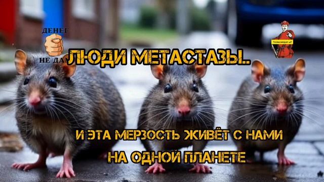 ЛЮДИ МЕТАСТАЗЫ смотреть онлайн