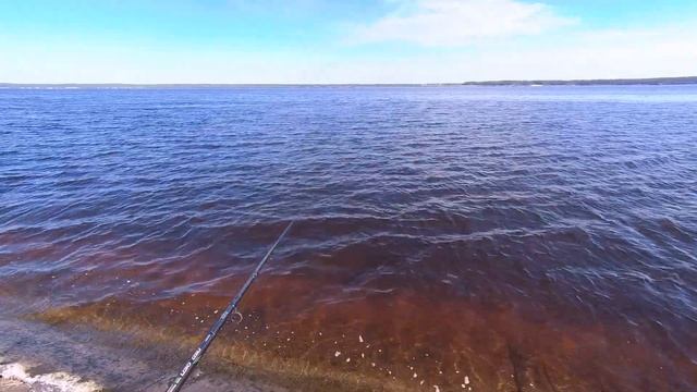 КОРМУШКА ДЮЗА VS КОРМУШКА ФЛЭТ. ТЕСТ ПО ПРОХОЖДЕНИЮ БРОВКИ смотреть онлайн