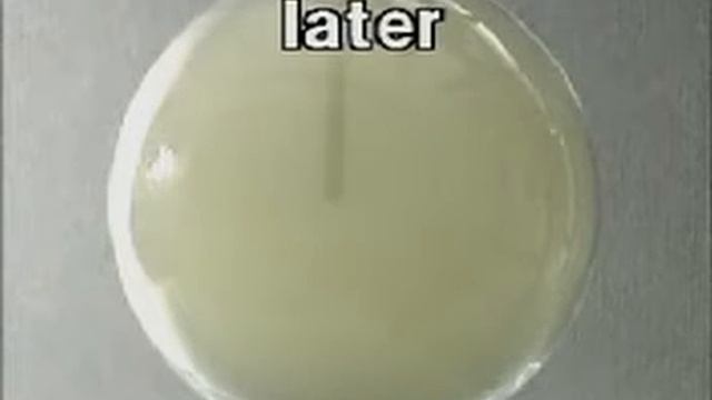 PHẢN ỨNG CỦA CLO (Cl) VỚI ĐỒNG (Cu) ll Ông giáo dạy hóa смотреть онлайн