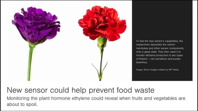 MIT's new ethylene sensor could help prevent food waste смотреть онлайн