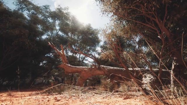 Unreal Engine 5 Photorrealistic Cinematic Lumen and Nanite | Rural Australia смотреть онлайн