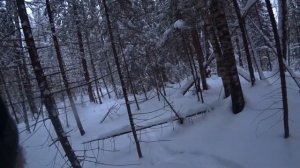 Охота на зайца после глухой пороши 17 декабря 2023г. Полная версия