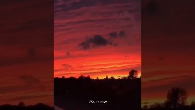 Serine Hovhanisyan - Ancelen tariner (cover) Spitakci Hayko смотреть онлайн