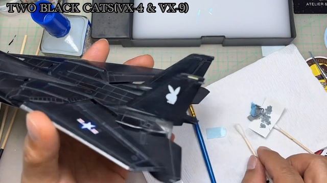 Two Black Cats (VX-4 & VX-9) English -VX-4 VANDYS- смотреть онлайн
