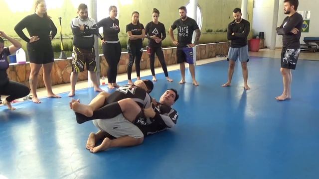 seminário principiologia do grappling 26 fevereiro 2022. Professor eduardo the judge walmory смотреть онлайн