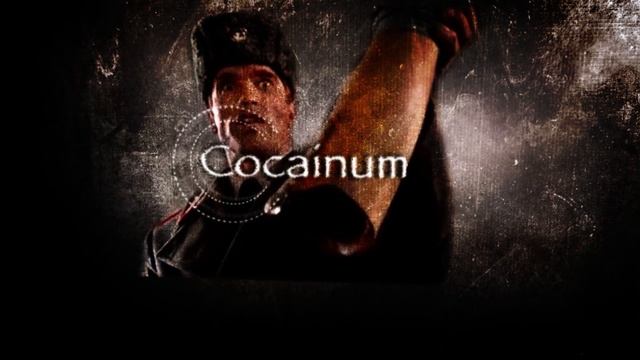 Arnold Schwarzenegger - Cocainum (Billy Enku Remix) смотреть онлайн