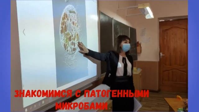 Час интересных открытий "МИКРОмир" смотреть онлайн
