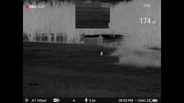 Pulsar Thermion 2 XQ50 Pro LRF - Coyote Hunting Missouri | Predator Hunting | Thermal Optics смотреть онлайн