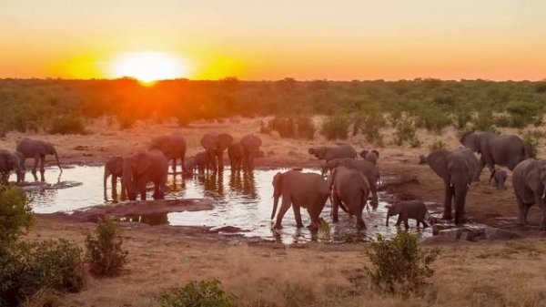 Power Up 1 Unit 6 Quiz