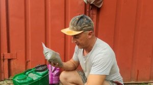 Надо ли и чем обрабатывать картофель от фитофторы 2024 г