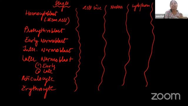 Auricle's Physiology Live Class on Blood of RBC by Dr. Aanchal. смотреть онлайн