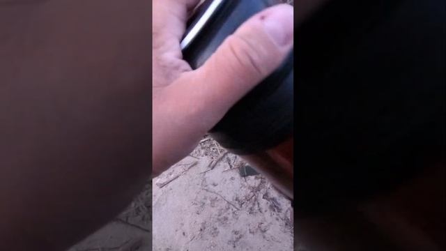 Универсальная насадка на судака, берша, налима по холодной воде смотреть онлайн