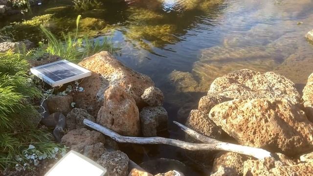 DIY pond skimmer смотреть онлайн