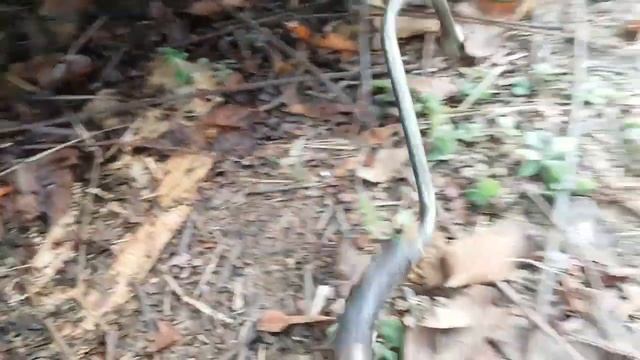 Tata Indica Tata Indigo Diesel Filter Cleaning смотреть онлайн